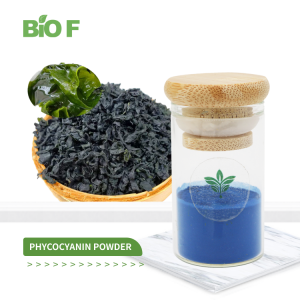 Super Quality Organic Spirulina Extract Blue Spirulina Powder