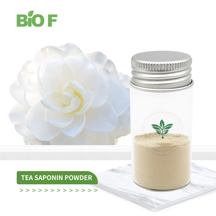 山茶花籽提取物