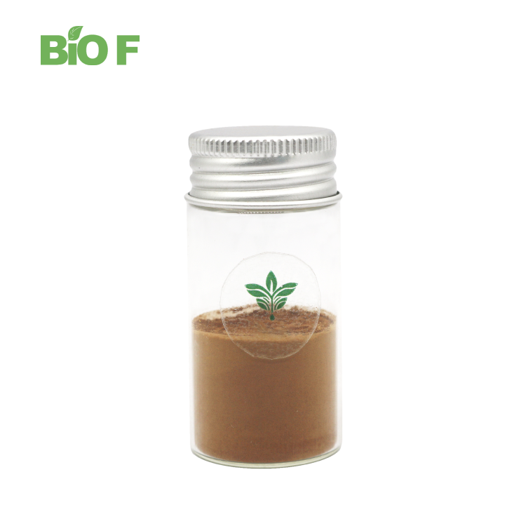 High Quality Natural Cas 84929-27-1 Grape Seed Extract Powder in Stock