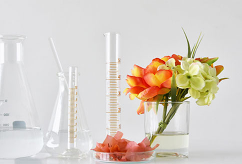 Natural antioxidant tomato extract lycopene powder: a promising health supplement
